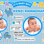 rzppbb2 Bio Baby Blue_800x560