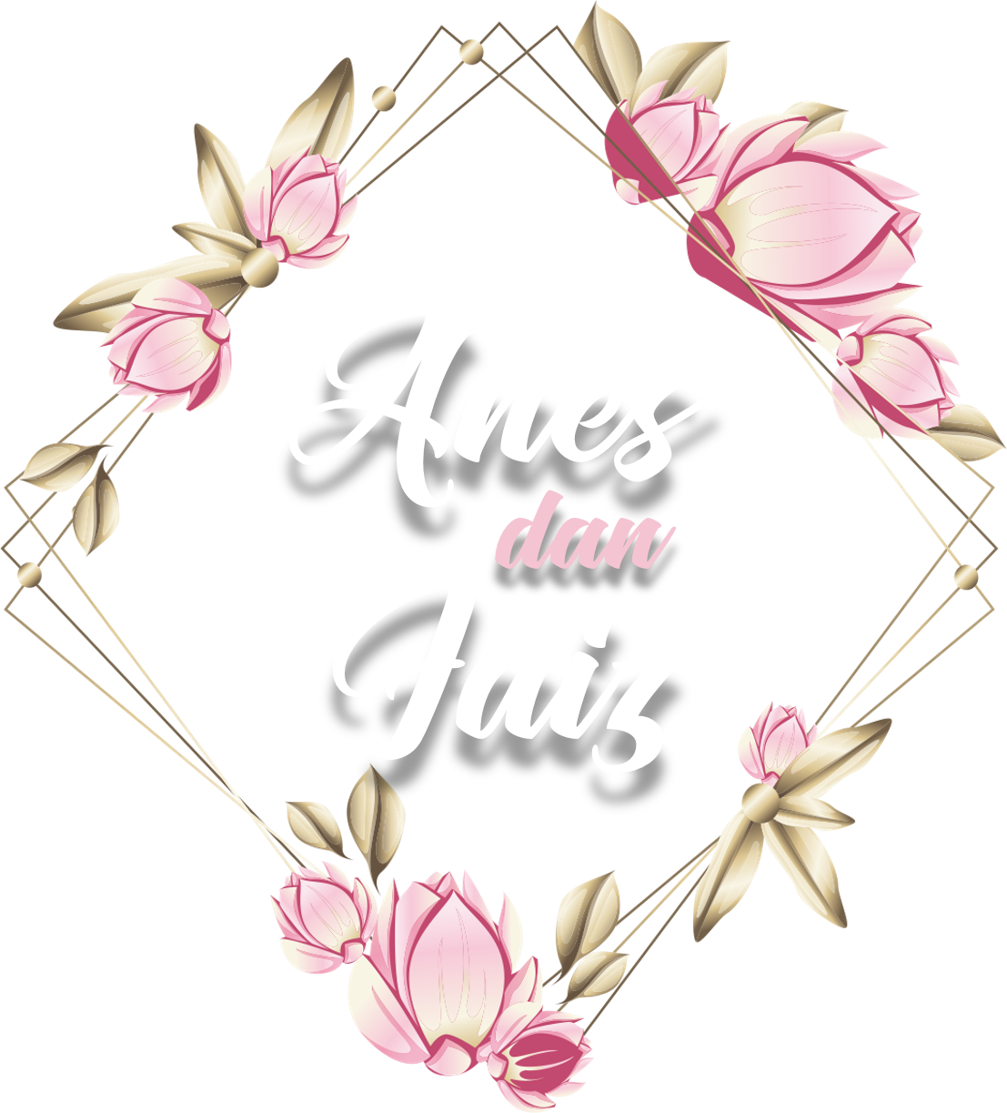 Anis-Faiz-Web-Syd.png