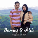 The Wedding of Damay and Aldi