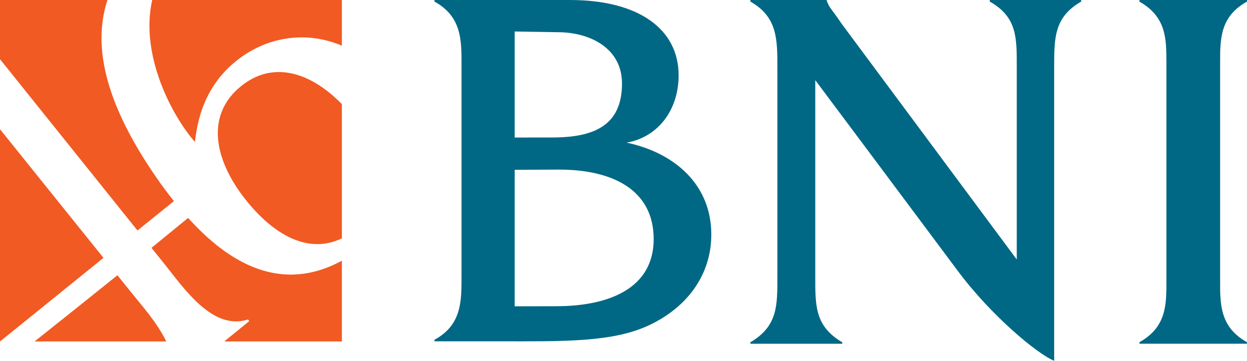 BNI_logo.svg (1)