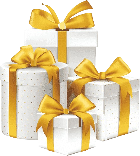 png-transparent-gift-gift-miscellaneous-ribbon-gift-box-removebg-preview